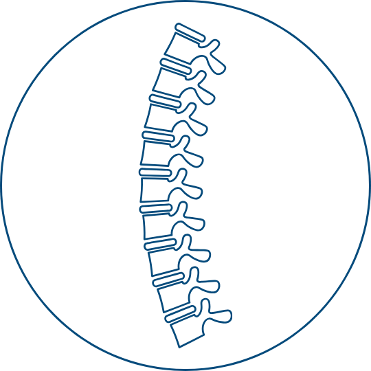 Neck Care Essentials